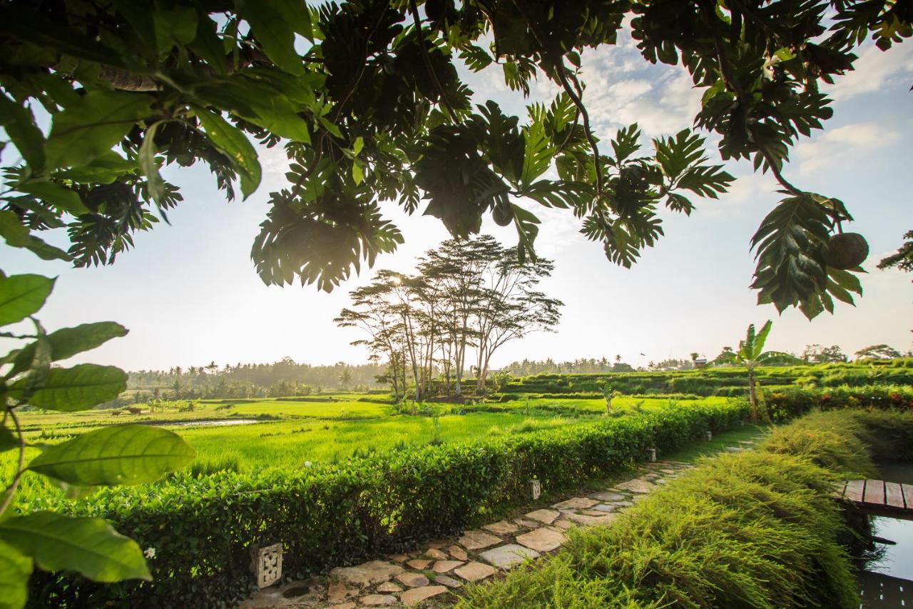 Griya Kcb Villa Ubud Mas  Exterior photo